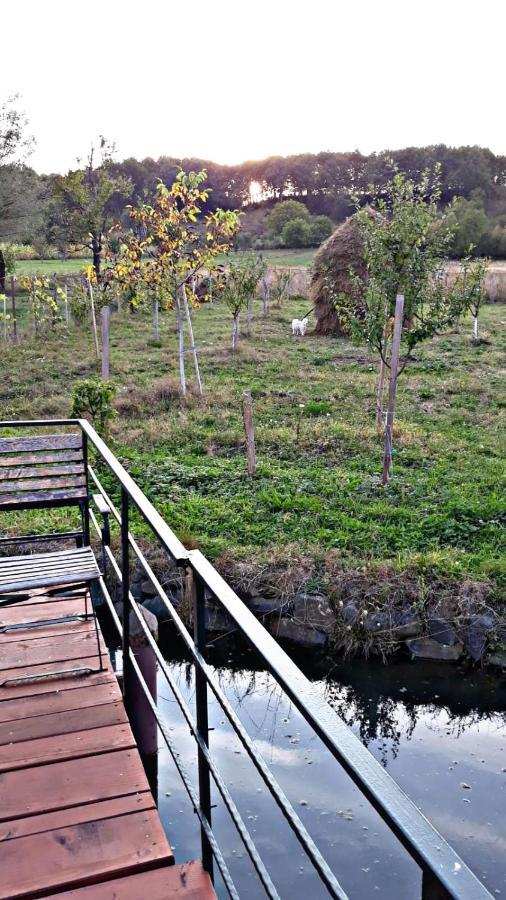 شقة La Curtea Veche Lapus المظهر الخارجي الصورة